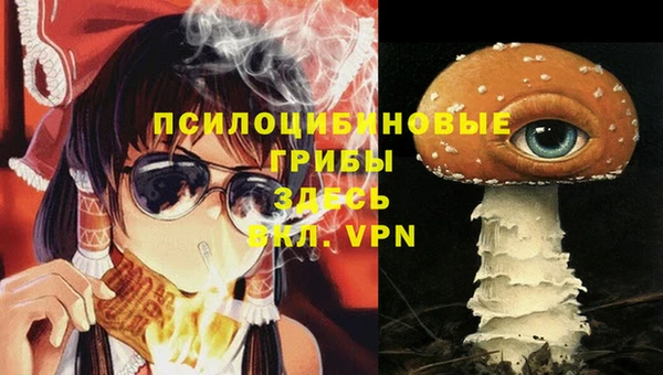 молекула духа Алзамай
