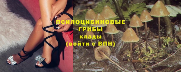 молекула духа Алзамай