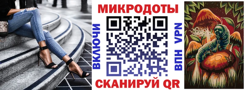 hydra зеркало  наркота  Балашиха  Галлюциногенные грибы Psilocybine cubensis 